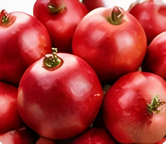 Pomegranates handled with post-harvest cold chain care