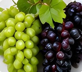 Green and black grapes stored and handled at Nehjit Agro