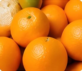 Fresh oranges for orange cold storage in Maharashtra